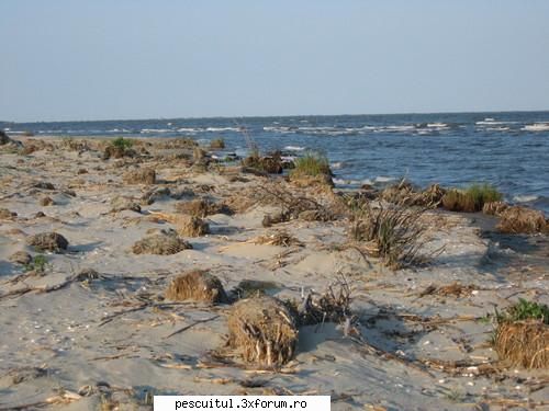Dunarea de-a lungul Europei ! - Modigliani - PESCUIT LA DUNARE SI IN DELTA DUNARII
