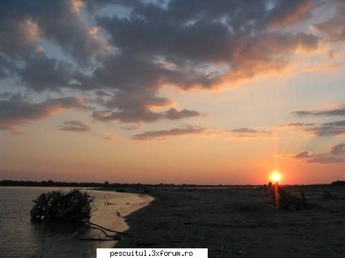 Dunarea de-a lungul Europei ! - Modigliani - PESCUIT LA DUNARE SI IN DELTA DUNARII