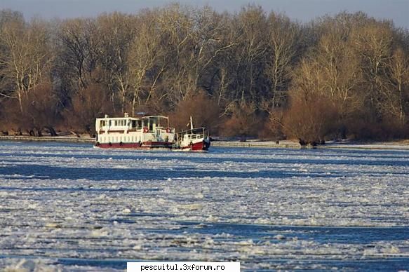 Dunarea iarna . Superba ca in tot anul ! - Modigliani - PESCUIT LA DUNARE SI IN DELTA DUNARII