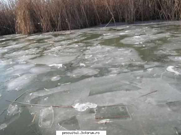 Dunarea iarna . Superba ca in tot anul ! - Modigliani - PESCUIT LA DUNARE SI IN DELTA DUNARII