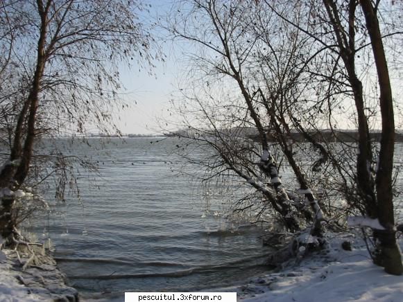 Dunarea iarna . Superba ca in tot anul ! - Modigliani - PESCUIT LA DUNARE SI IN DELTA DUNARII