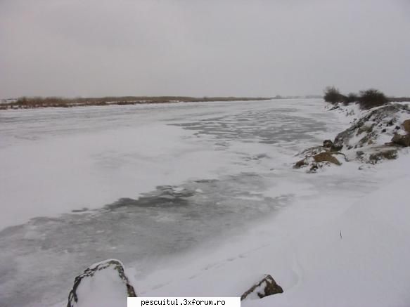 Dunarea iarna . Superba ca in tot anul ! - Modigliani - PESCUIT LA DUNARE SI IN DELTA DUNARII