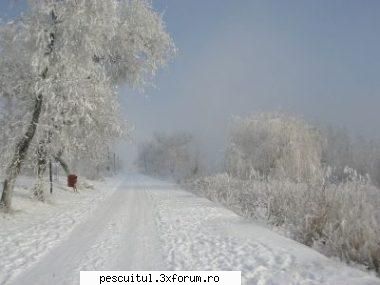 Dunarea iarna . Superba ca in tot anul ! - Modigliani - PESCUIT LA DUNARE SI IN DELTA DUNARII