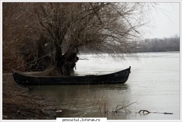 Dunarea iarna . Superba ca in tot anul ! - Modigliani - PESCUIT LA DUNARE SI IN DELTA DUNARII