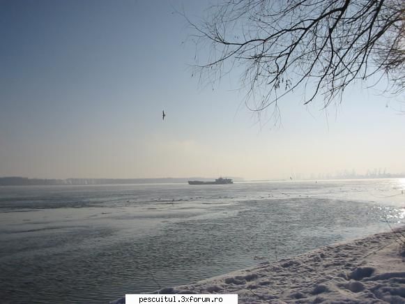 Dunarea iarna . Superba ca in tot anul ! - Absolut superb!!! - PESCUIT LA DUNARE SI IN DELTA DUNARII