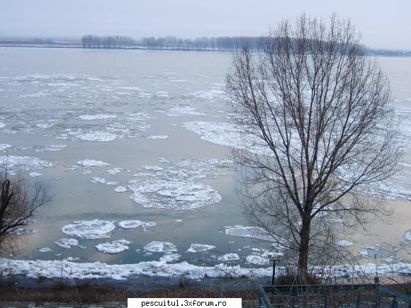 Dunarea iarna . Superba ca in tot anul ! - Din greseala am pus poza - PESCUIT LA DUNARE SI IN DELTA DUNARII