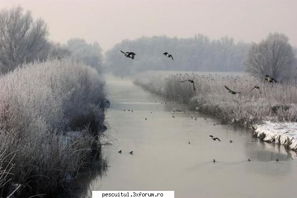 Dunarea iarna . Superba ca in tot anul ! - Modigliani - PESCUIT LA DUNARE SI IN DELTA DUNARII
