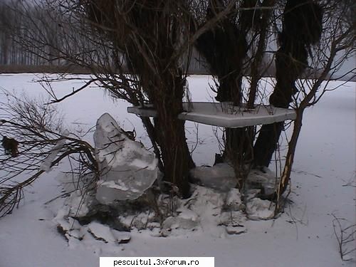 Dunarea iarna . Superba ca in tot anul ! - Modigliani - PESCUIT LA DUNARE SI IN DELTA DUNARII