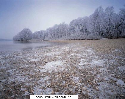 Dunarea iarna . Superba ca in tot anul ! - Modigliani - PESCUIT LA DUNARE SI IN DELTA DUNARII