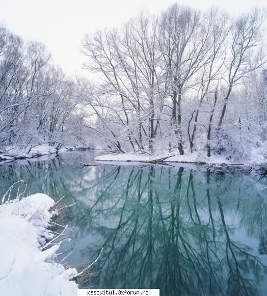 Dunarea iarna . Superba ca in tot anul ! - Modigliani - PESCUIT LA DUNARE SI IN DELTA DUNARII