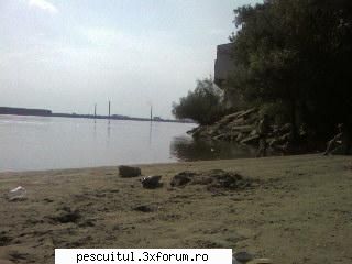Dunarea in zona Zimnicea - Va salut! Va deranjez si eu cu o "mica" - PESCUIT LA DUNARE SI IN DELTA DUNARII