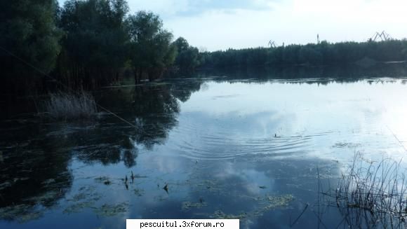 Dunarea la Braila ! - azi am fost la LATINU,un canal in care se baga - PESCUIT LA DUNARE SI IN DELTA DUNARII