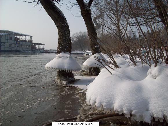 Dunarea la Galati - Se cam vede pana unde a fost apa - PESCUIT LA DUNARE SI IN DELTA DUNARII