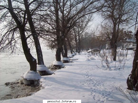 Dunarea la Galati - Rockyonutz - PESCUIT LA DUNARE SI IN DELTA DUNARII