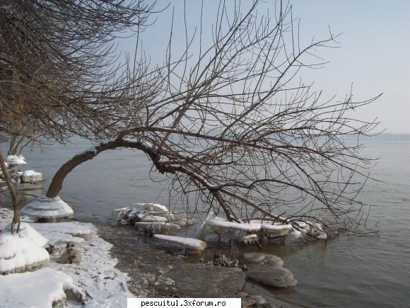Dunarea la Galati - In fata frumusetii Dunarii ne inchinam cu totii - PESCUIT LA DUNARE SI IN DELTA DUNARII