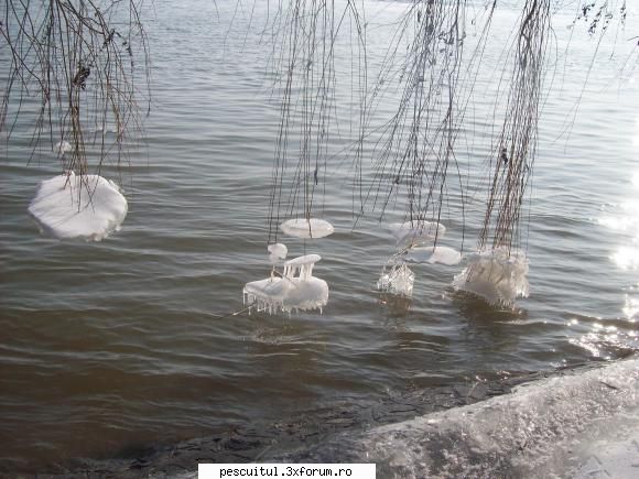 Dunarea la Galati - Rockyonutz - PESCUIT LA DUNARE SI IN DELTA DUNARII