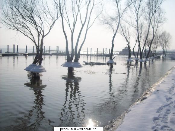 Dunarea la Galati - Sorry am uitat sa pun poza - PESCUIT LA DUNARE SI IN DELTA DUNARII