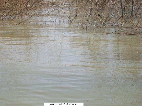 Dunarea la Galati - Astazi am facut o scurta iesire, apa foarte - PESCUIT LA DUNARE SI IN DELTA DUNARII