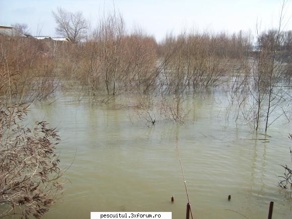 Dunarea la Galati - O singura trasatura si aceea neconcretizata - PESCUIT LA DUNARE SI IN DELTA DUNARII