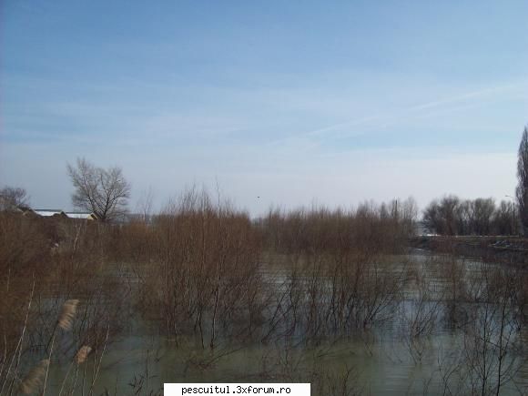 Dunarea la Galati - Daca nivelul apei se va mentine asa pestele va - PESCUIT LA DUNARE SI IN DELTA DUNARII