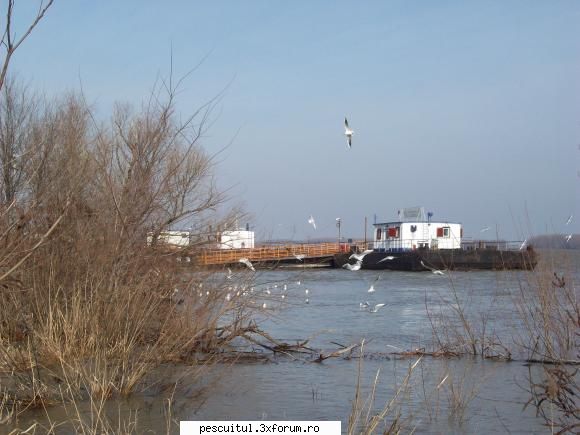 Dunarea la Galati - Rockyonutz - PESCUIT LA DUNARE SI IN DELTA DUNARII