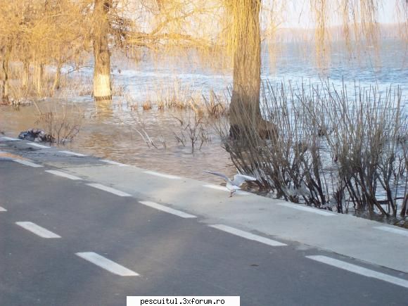 Dunarea la Galati - Rockyonutz - PESCUIT LA DUNARE SI IN DELTA DUNARII