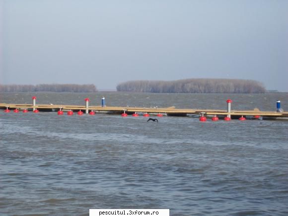 Dunarea la Galati - Rockyonutz - PESCUIT LA DUNARE SI IN DELTA DUNARII