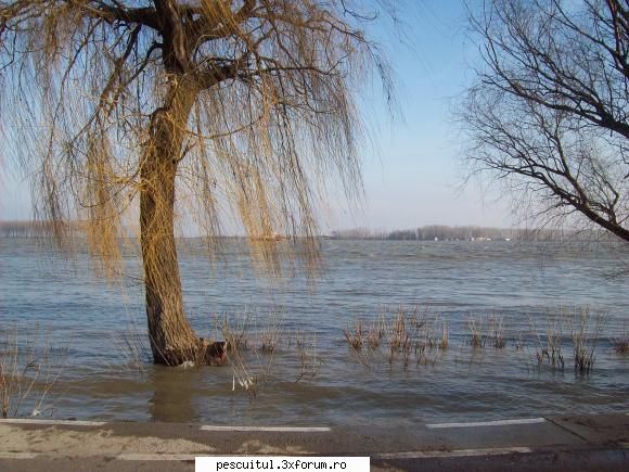 Dunarea la Galati - Apa pana in bordura - PESCUIT LA DUNARE SI IN DELTA DUNARII