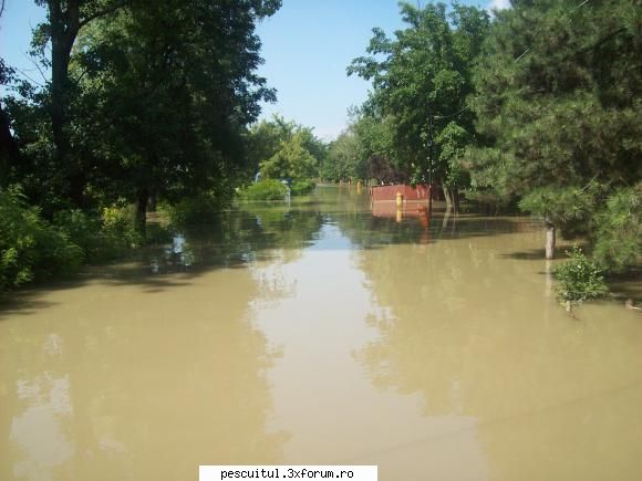 Dunarea la Galati - Un loc perfect de pescuit direct pe asfalt, zero - PESCUIT LA DUNARE SI IN DELTA DUNARII