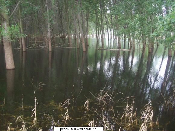 Dunarea la Galati - La priza Dunarii...a intrat apa pana aproape de - PESCUIT LA DUNARE SI IN DELTA DUNARII