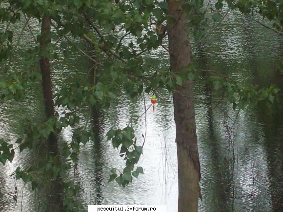 Dunarea la Galati - S-a prins stiuca aici cam acum 2 saptamani, plute - PESCUIT LA DUNARE SI IN DELTA DUNARII