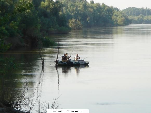 Dunarea pe teritoriu, de la Calarasi aval - Modigliani - PESCUIT LA DUNARE SI IN DELTA DUNARII