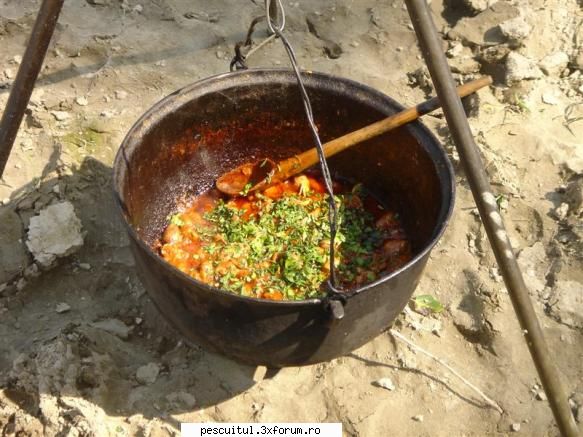Dunarea pe teritoriu, de la Calarasi aval - Tocanita de inimi si pipot - PESCUIT LA DUNARE SI IN DELTA DUNARII