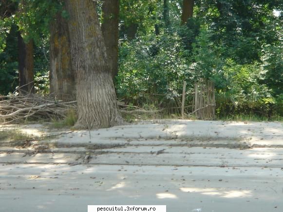 Dunarea pe teritoriu, de la Calarasi aval - Modigliani - PESCUIT LA DUNARE SI IN DELTA DUNARII