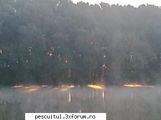 Dunarea pe teritoriu, de la Calarasi aval - Modigliani - PESCUIT LA DUNARE SI IN DELTA DUNARII
