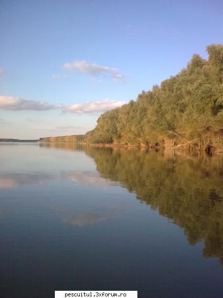 Dunarea pe teritoriu, de la Calarasi aval - Modigliani - PESCUIT LA DUNARE SI IN DELTA DUNARII