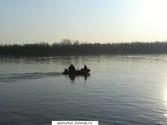 Dunarea pe teritoriu, de la Calarasi aval - Modigliani - PESCUIT LA DUNARE SI IN DELTA DUNARII