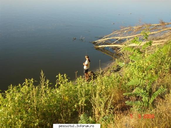 Dunarea pe teritoriu, de la Calarasi aval - In ,, living,, la mustacio - PESCUIT LA DUNARE SI IN DELTA DUNARII