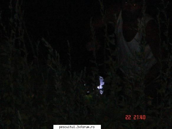 Dunarea pe teritoriu, de la Calarasi aval - Important ! Un pic cam - PESCUIT LA DUNARE SI IN DELTA DUNARII