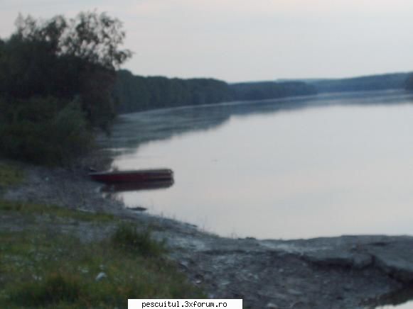 Dunarea pe teritoriu, de la Calarasi aval - Pictore, eu nu am experien - PESCUIT LA DUNARE SI IN DELTA DUNARII