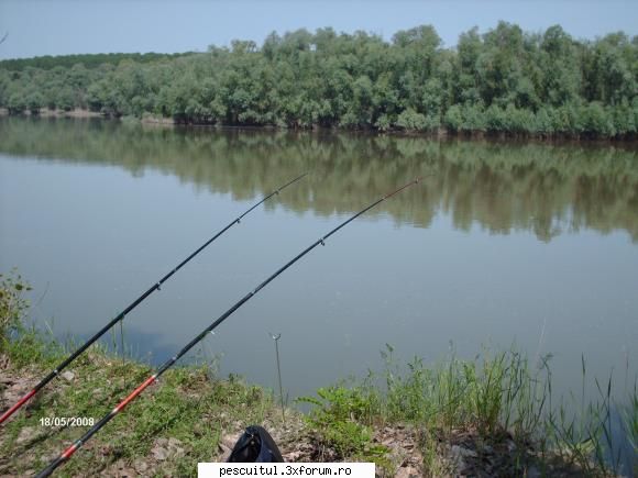 Dunarea pe teritoriu, de la Calarasi aval - Fishbones - PESCUIT LA DUNARE SI IN DELTA DUNARII