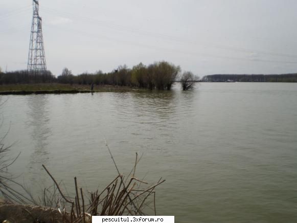 Dunarea pe teritoriu, de la Calarasi aval - Dunarea la Cernavoda - la - PESCUIT LA DUNARE SI IN DELTA DUNARII
