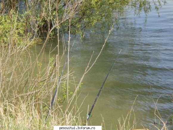 Dunarea pe teritoriu, de la Calarasi aval - Fishbones - PESCUIT LA DUNARE SI IN DELTA DUNARII