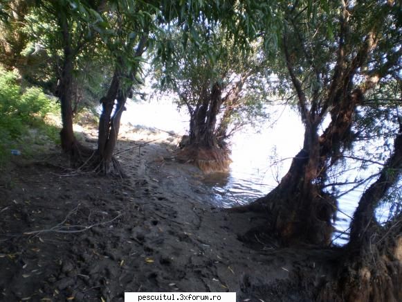 Dunarea pe teritoriu, de la Calarasi aval - La umbra, la tantari - PESCUIT LA DUNARE SI IN DELTA DUNARII