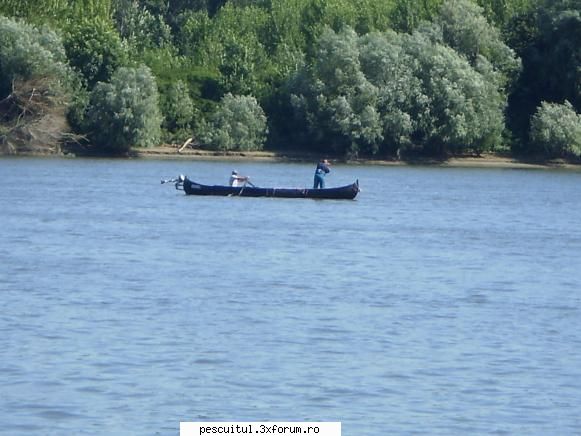 Dunarea pe teritoriu, de la Calarasi aval - Jegurile cu plasa - PESCUIT LA DUNARE SI IN DELTA DUNARII