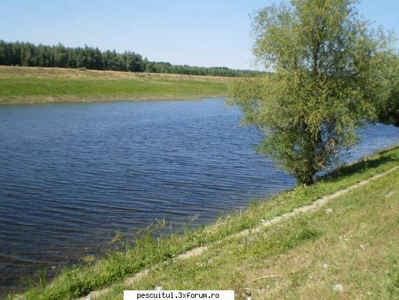 Dunarea pe teritoriu, de la Calarasi aval - Fishbones - PESCUIT LA DUNARE SI IN DELTA DUNARII