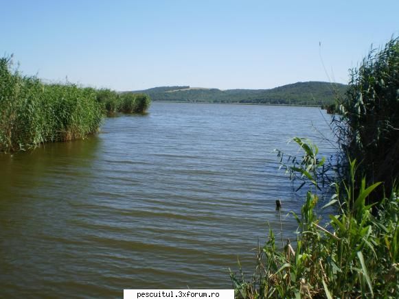 Dunarea pe teritoriu, de la Calarasi aval - Dar nici cu balta Baciu-Ra - PESCUIT LA DUNARE SI IN DELTA DUNARII