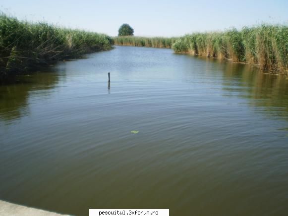 Dunarea pe teritoriu, de la Calarasi aval - Canal de 100ron - PESCUIT LA DUNARE SI IN DELTA DUNARII