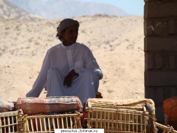 Egipt - Sharm El Sheikh - Nemernic - CALATORII SI INTALNIRI