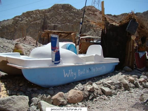 Egipt - Sharm El Sheikh - Indianule ... cred ca ti-ai uitat ceva pe acolo - CALATORII SI INTALNIRI